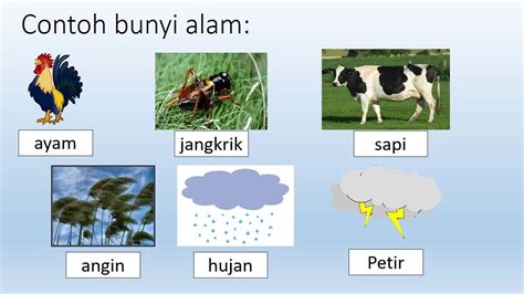 Sumber Bunyi Alami