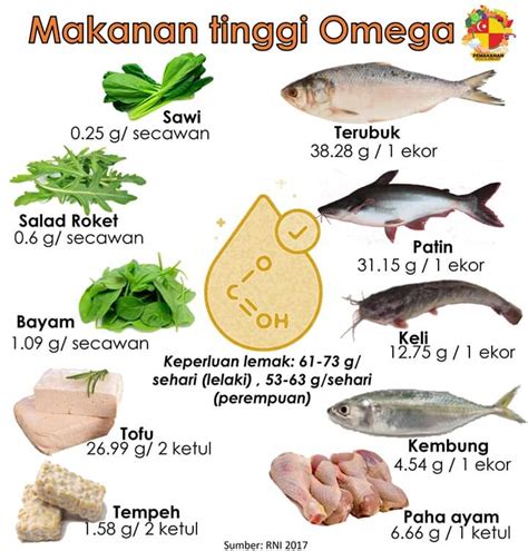 Sumber Makanan Omega-3