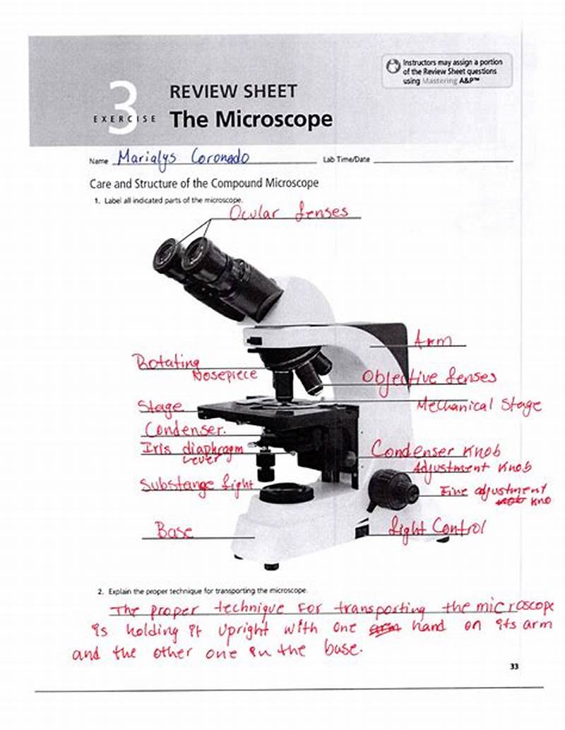 Summary Chart For Microscope Answers