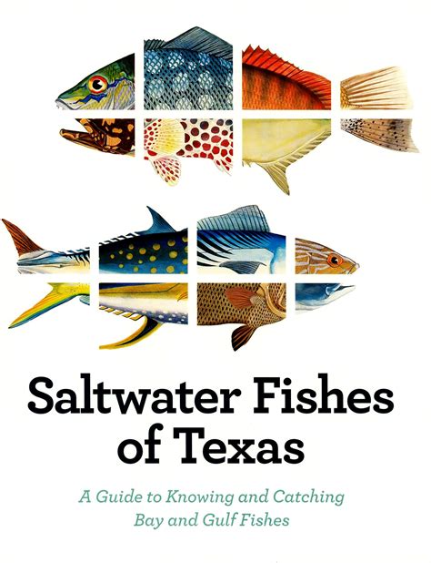 Summer is the Best Time for Texas Saltwater Fishing