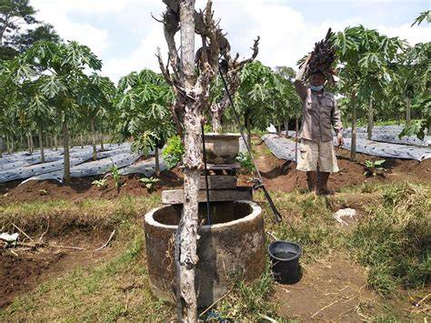 Sumur di Ladang