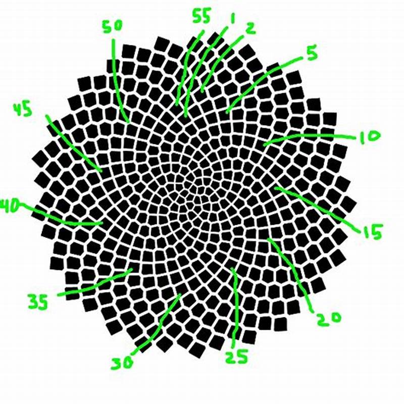Sunflower Math Pattern