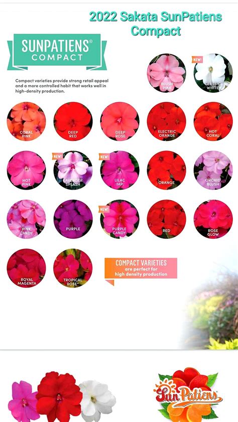 Sunpatiens Colors Chart