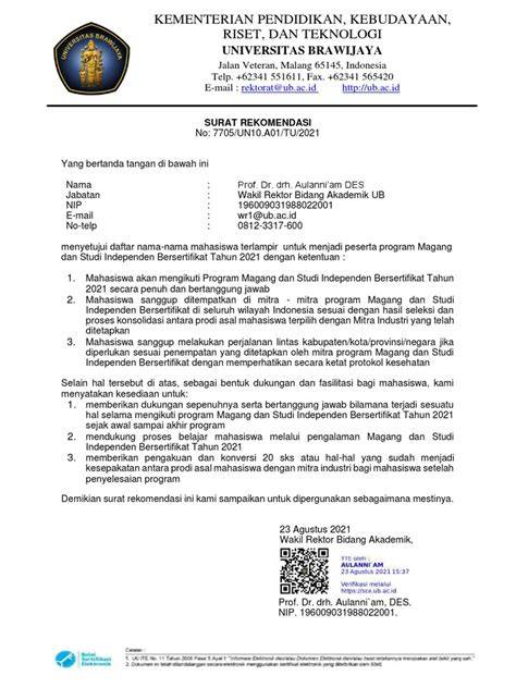 Surat Rekomendasi MSIB
