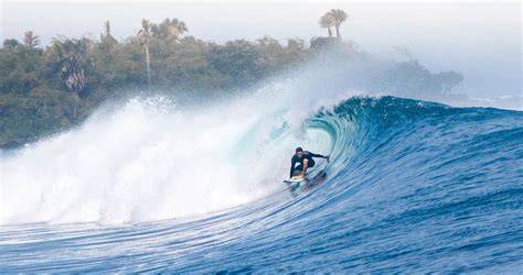 Surfer's Paradise