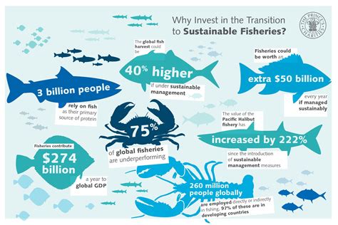 Sustainability of Fish Populations
