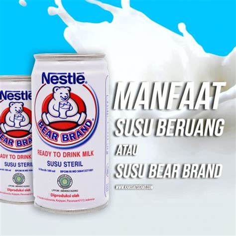 Susu Beruang bahan alam Indonesia