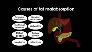 Symptoms of Fat Malabsorption