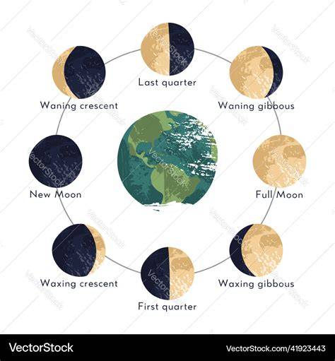 Fase Bulan Sinodik