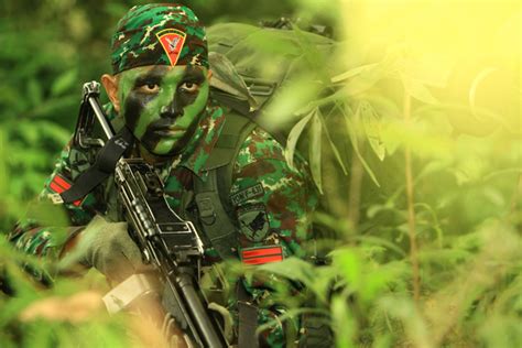 TNI AD Soldier