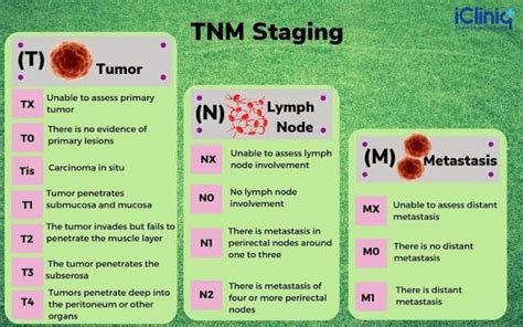 Ilustrasi sistem TNM