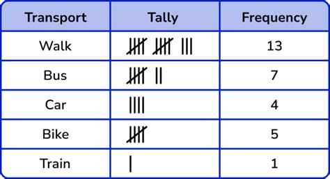 Tally Chart Example