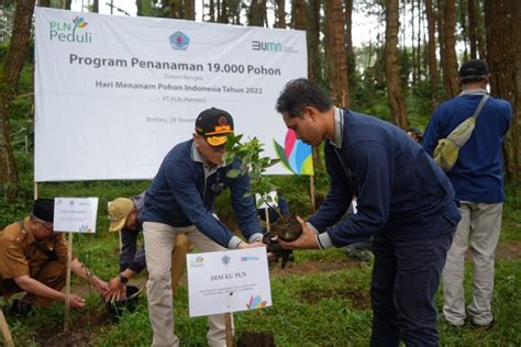Tanam Pohon