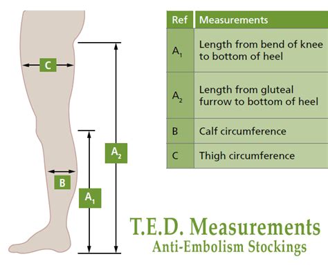 Ted Stockings Measurement Chart