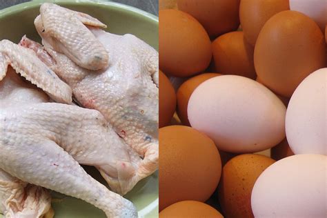 Telur dan Daging Ayam