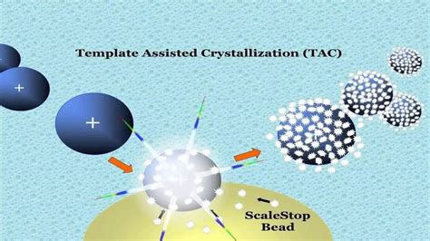 Template Assisted Crystallization