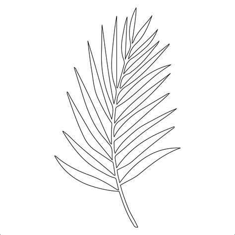 Template For Palm Leaves