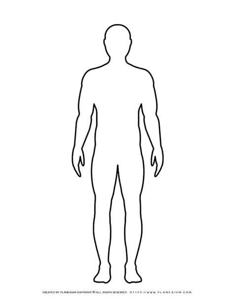 Template Of Body