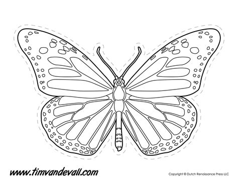 Template Of Butterfly To Print