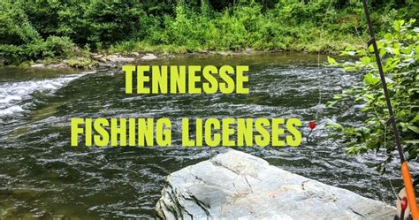 Tennessee Fishing License Costs