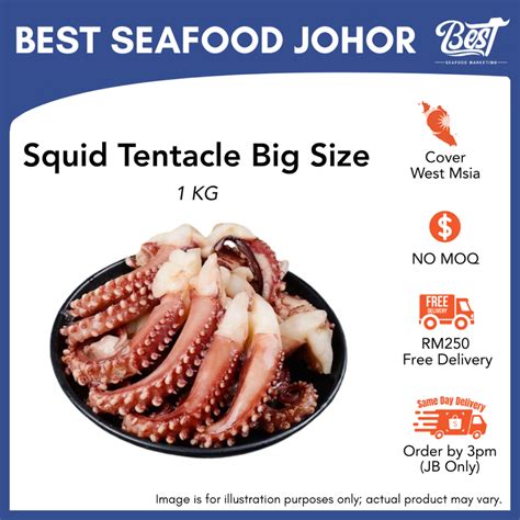 Tentakel Sotong