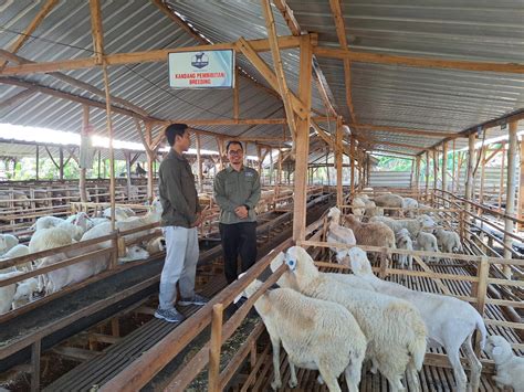 Ternak Menguntungkan