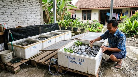Ternak Modal Tipis