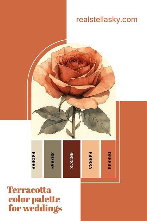 Terracotta Rose Color
