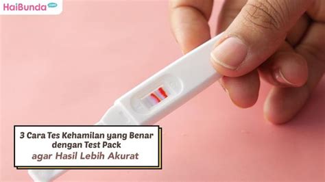 Test Pack Kehamilan