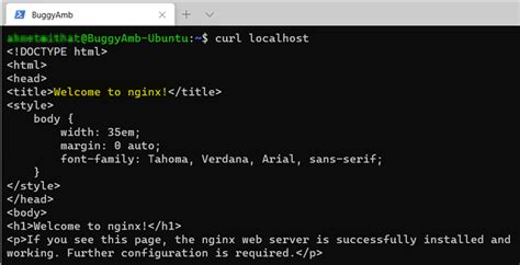 Testing Nginx installation curl localhost