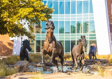 Texas A M Course Catalog