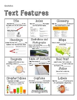 Text Features Anchor Chart Printable