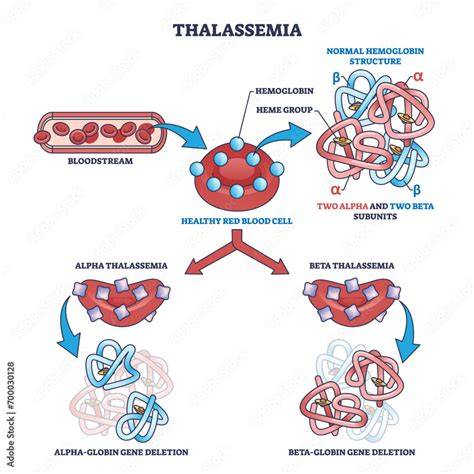 Thalasemia Alfa: Masalah pada Rantai Alfa