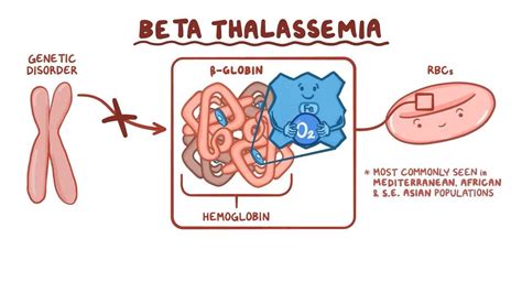 Thalasemia Beta: Masalah pada Rantai Beta