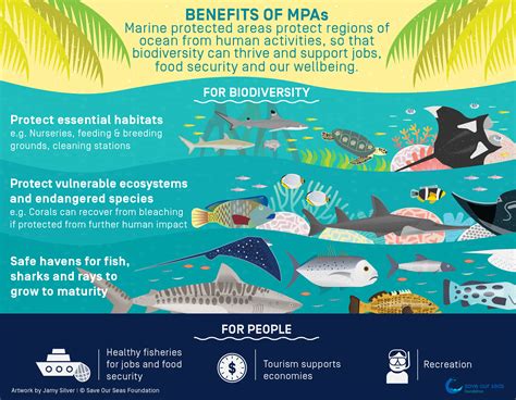 The Importance of Protecting Marine Life