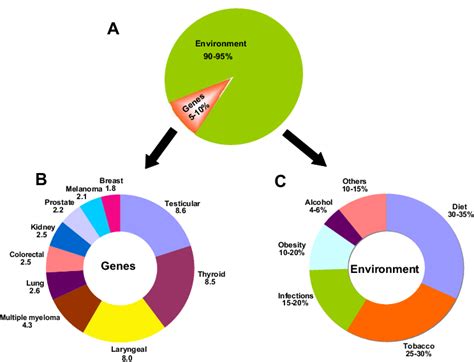 The Role of Genetics vs. Exposure in Developing Cancer