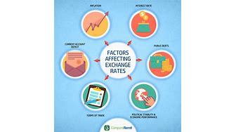 The impact of exchange rates