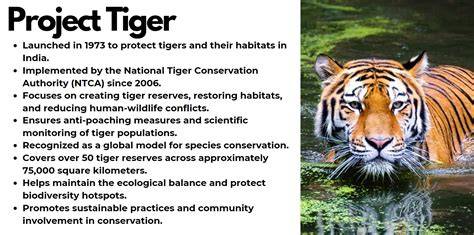 Tiger in forest