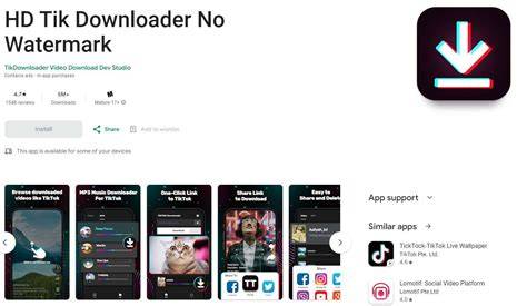 TikTok Downloader