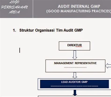 Tim Audit Internal