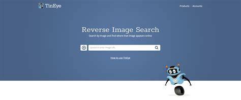 TinEye image search service