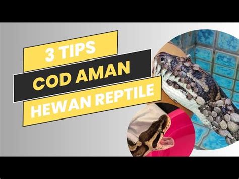 Tips COD Aman