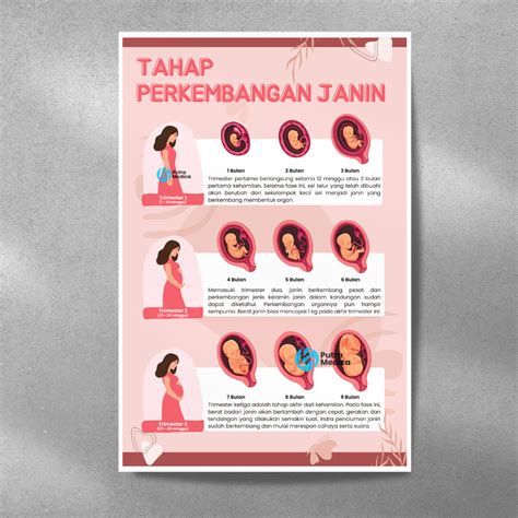 Tips Memantau Gerakan Janin