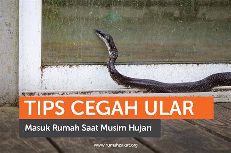 Tips cegah ular