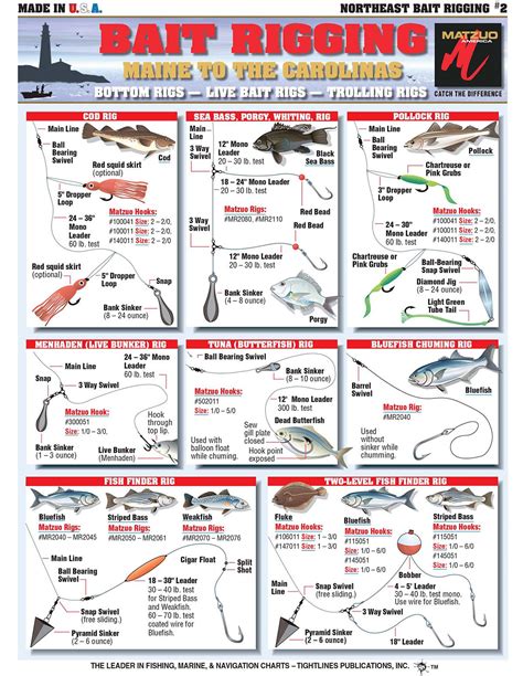 Tips for Bait and Tackle to use in Rocky River