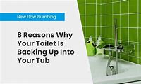 Toilet Backing Up in Tub