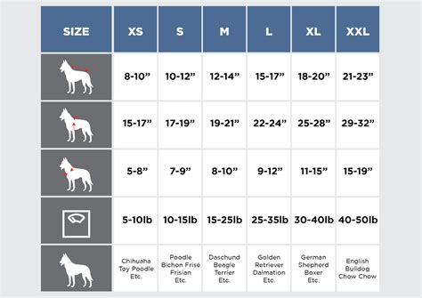 Top Paw Size Chart