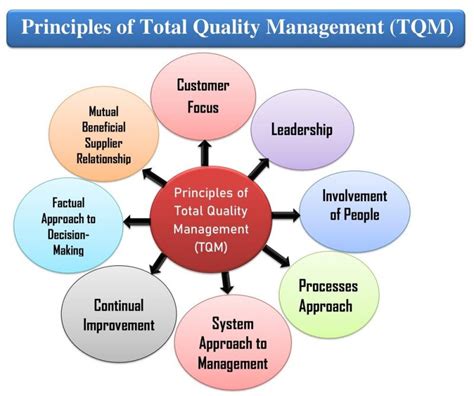 Total Quality Management Principles