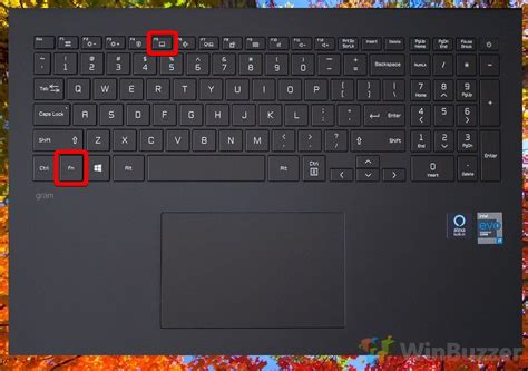 Touchpad Lock Function Key