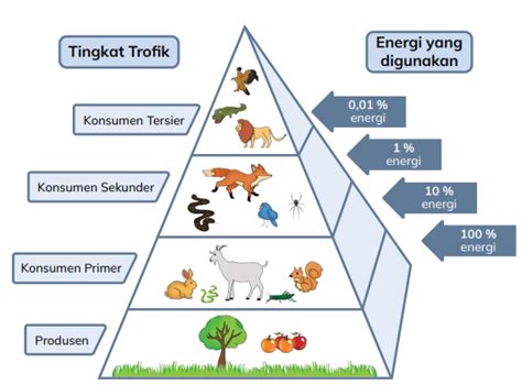 Transfer Energi
